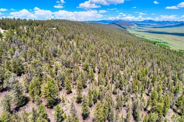 Lot 262 Middle Fork Vista Fairplay, CO 80440
