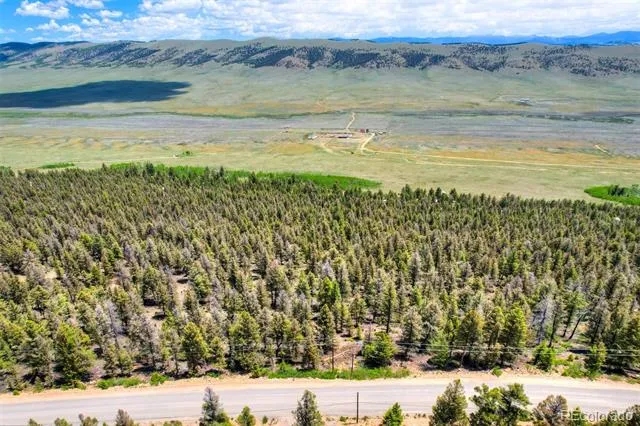 Lot 262 Middle Fork Vista Fairplay, CO 80440