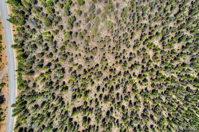 Lot 262 Middle Fork Vista Fairplay, CO 80440