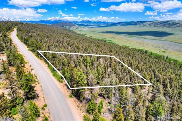 Lot 262 Middle Fork Vista Fairplay, CO 80440