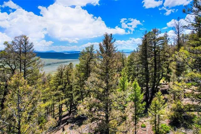 Lot 262 Middle Fork Vista Fairplay, CO 80440
