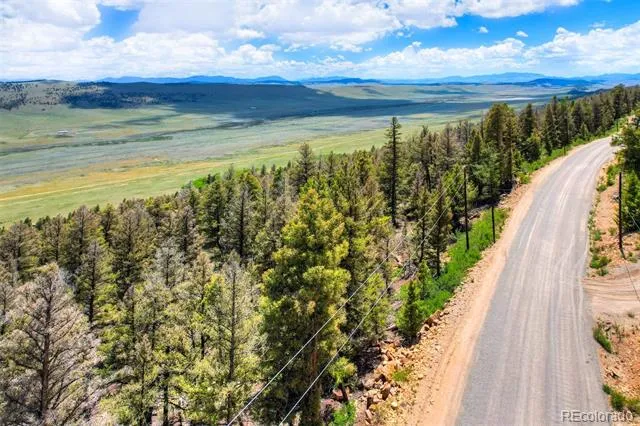 Lot 262 Middle Fork Vista Fairplay, CO 80440