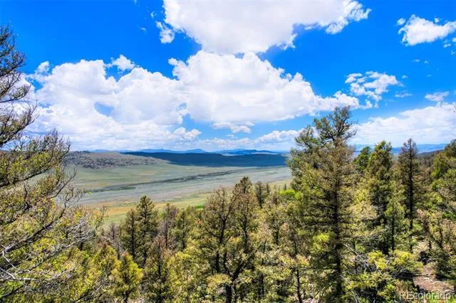 Lot 262 Middle Fork Vista Fairplay, CO 80440