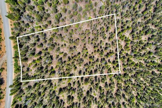 Lot 262 Middle Fork Vista Fairplay, CO 80440