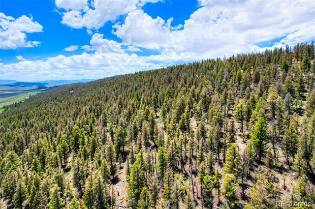 Lot 262 Middle Fork Vista Fairplay, CO 80440