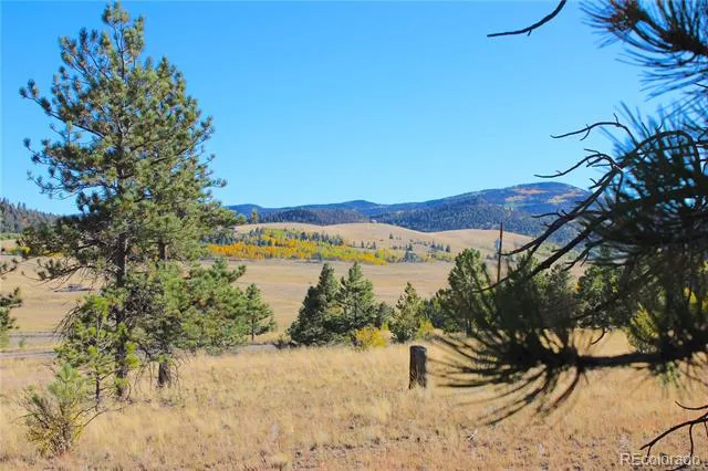 59 Whip Way Hartsel, CO 80449