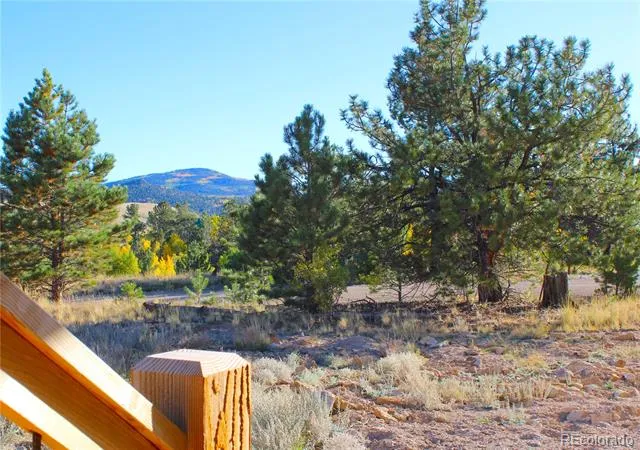 59 Whip Way Hartsel, CO 80449