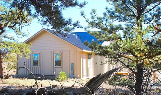 59 Whip Way Hartsel, CO 80449