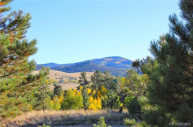 59 Whip Way Hartsel, CO 80449