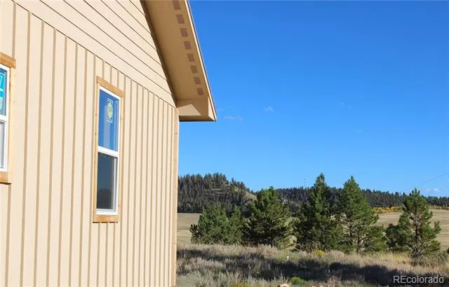 59 Whip Way Hartsel, CO 80449