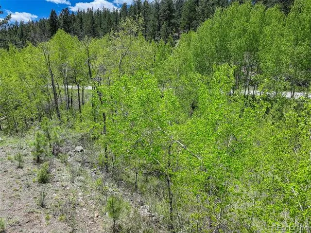400 Crow Valley Road Bailey, CO 80421