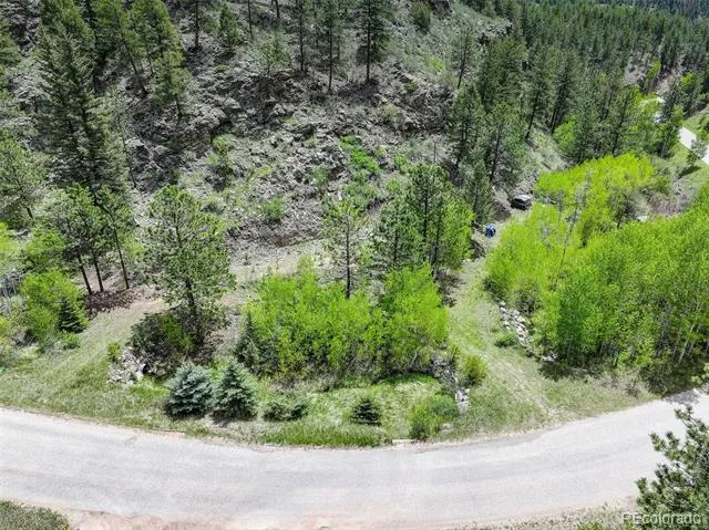 400 Crow Valley Road Bailey, CO 80421