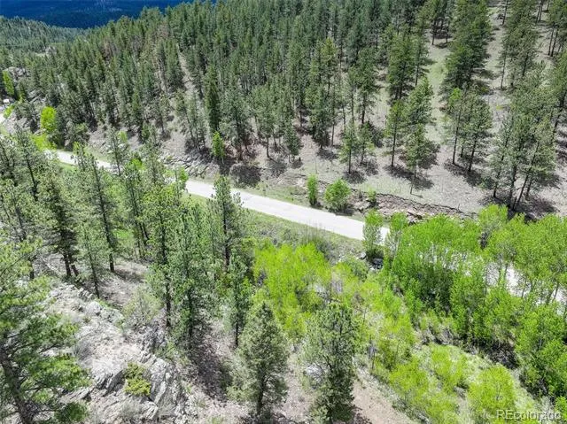 400 Crow Valley Road Bailey, CO 80421