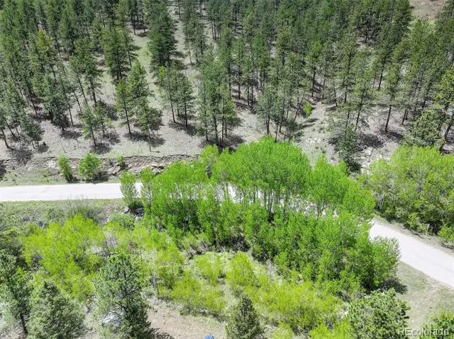 400 Crow Valley Road Bailey, CO 80421