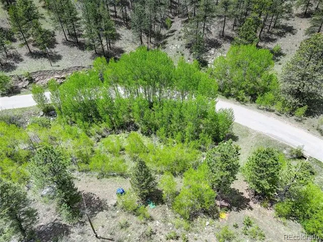 400 Crow Valley Road Bailey, CO 80421
