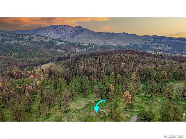 179 Green Ridge Road Drake, CO 80515
