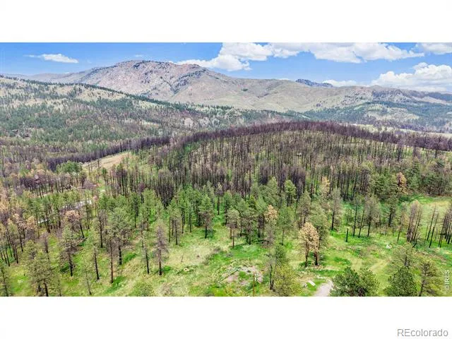 179 Green Ridge Road Drake, CO 80515