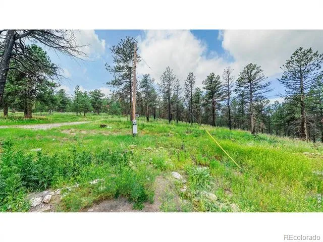 179 Green Ridge Road Drake, CO 80515