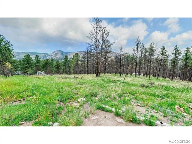 179 Green Ridge Road Drake, CO 80515