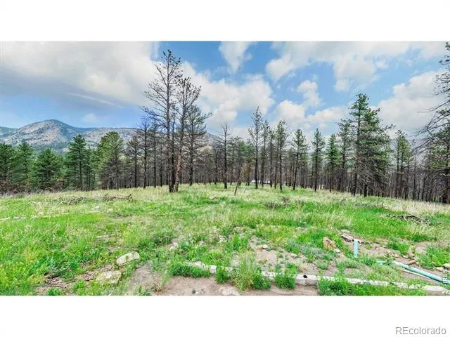 179 Green Ridge Road Drake, CO 80515