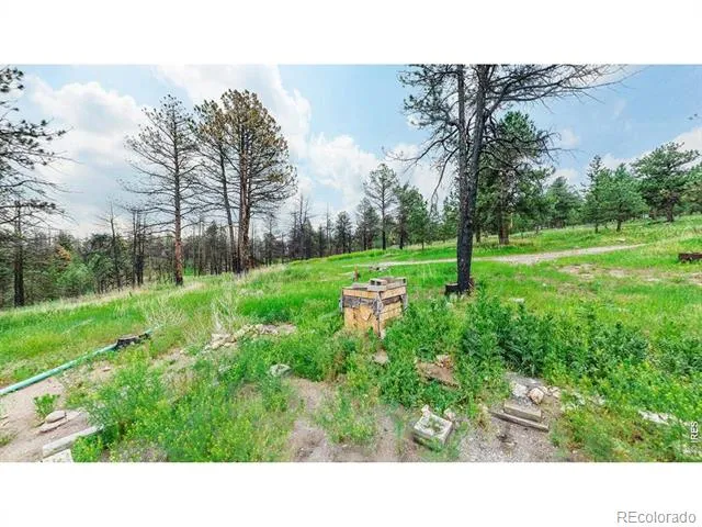 179 Green Ridge Road Drake, CO 80515