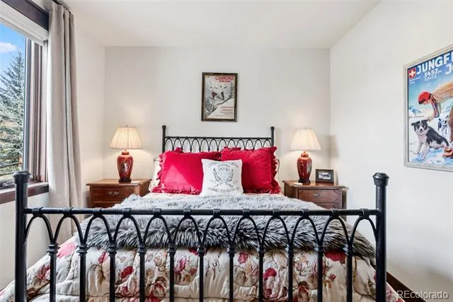 59 Erickson Loop Dillon, CO 80435