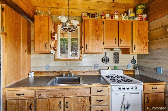 2126 E Path Cotopaxi, CO 81223