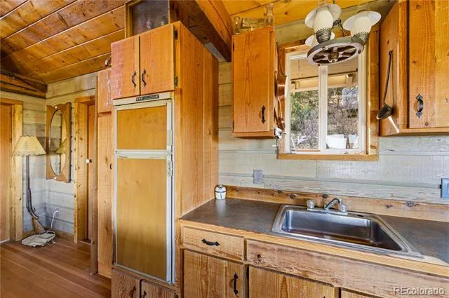 2126 E Path Cotopaxi, CO 81223
