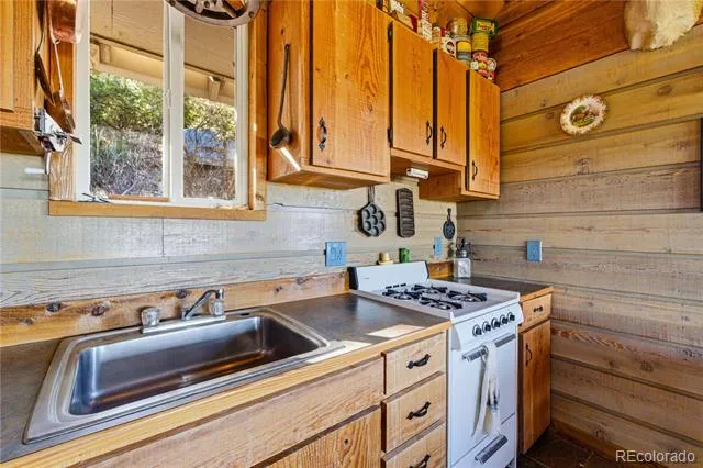 2126 E Path Cotopaxi, CO 81223