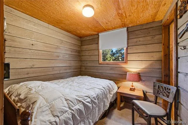 2126 E Path Cotopaxi, CO 81223