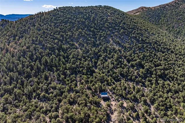 2126 E Path Cotopaxi, CO 81223