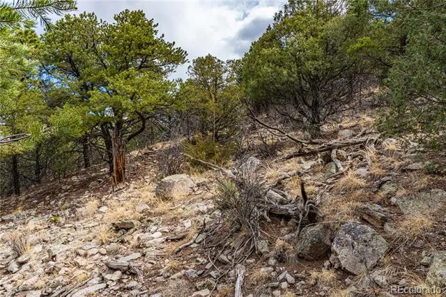 2126 E Path Cotopaxi, CO 81223