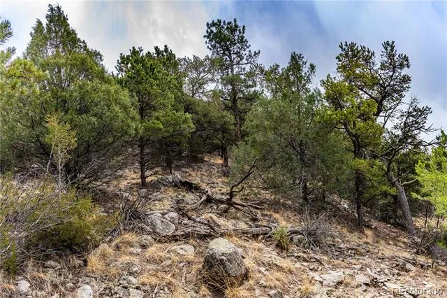 2126 E Path Cotopaxi, CO 81223