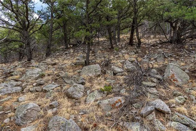 2126 E Path Cotopaxi, CO 81223
