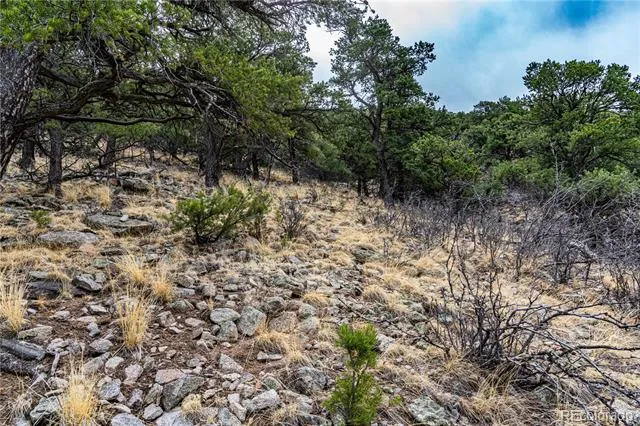 2126 E Path Cotopaxi, CO 81223