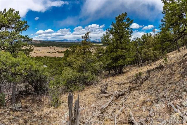 2126 E Path Cotopaxi, CO 81223