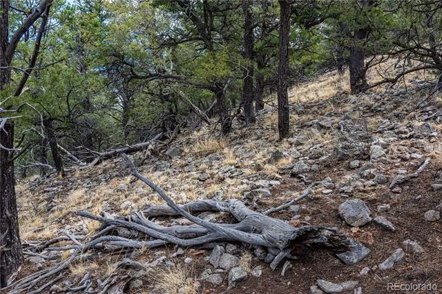 2126 E Path Cotopaxi, CO 81223