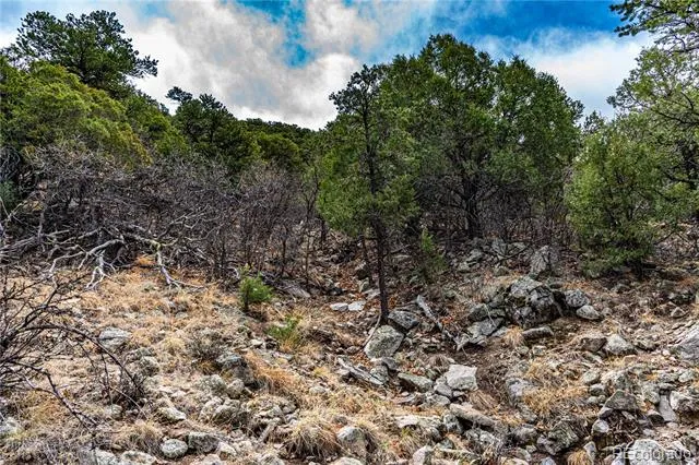 2126 E Path Cotopaxi, CO 81223