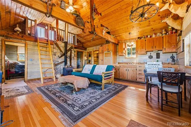 2126 E Path Cotopaxi, CO 81223