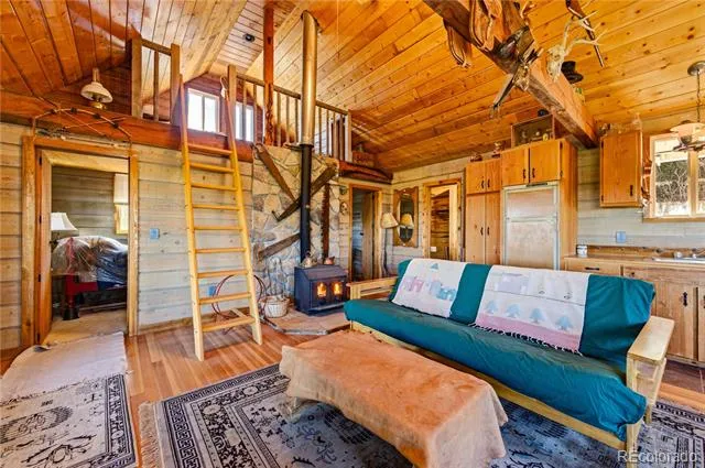 2126 E Path Cotopaxi, CO 81223