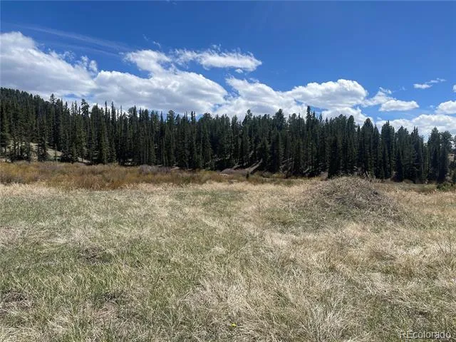Address Not Shown Florissant, CO 80816