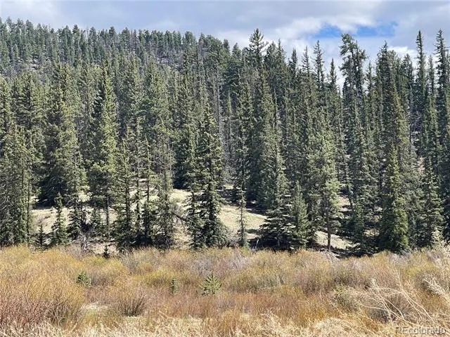 Address Not Shown Florissant, CO 80816