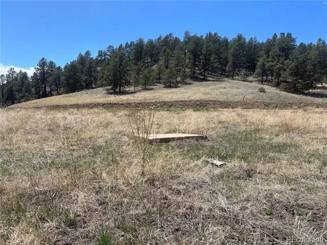 Address Not Shown Florissant, CO 80816