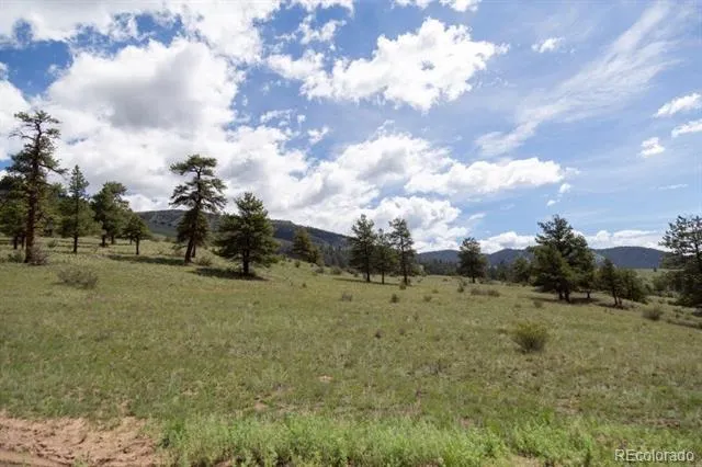 730 Cliff View Drive Creede, CO 81130