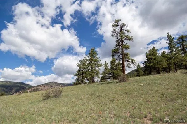 730 Cliff View Drive Creede, CO 81130
