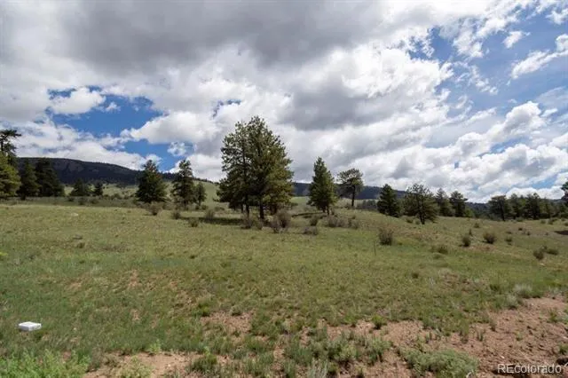730 Cliff View Drive Creede, CO 81130