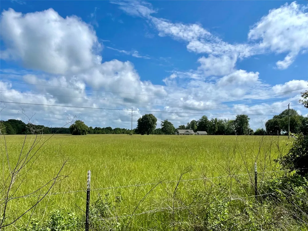 3999 An County Road 174 Grapeland, TX 75844