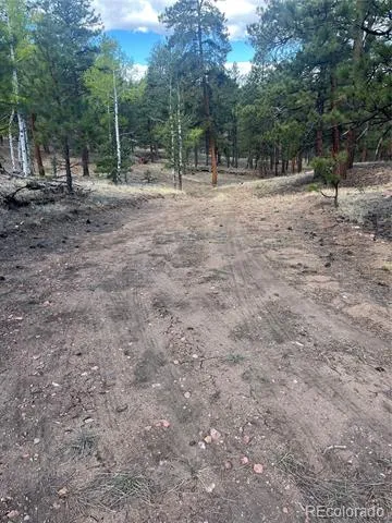 185 Sioux Trail Westcliffe, CO 81252