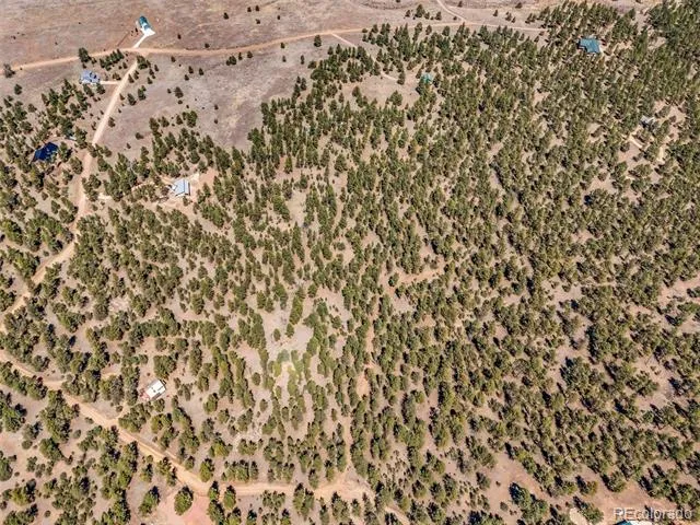 185 Sioux Trail Westcliffe, CO 81252