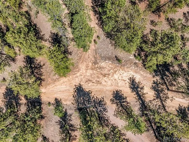 185 Sioux Trail Westcliffe, CO 81252